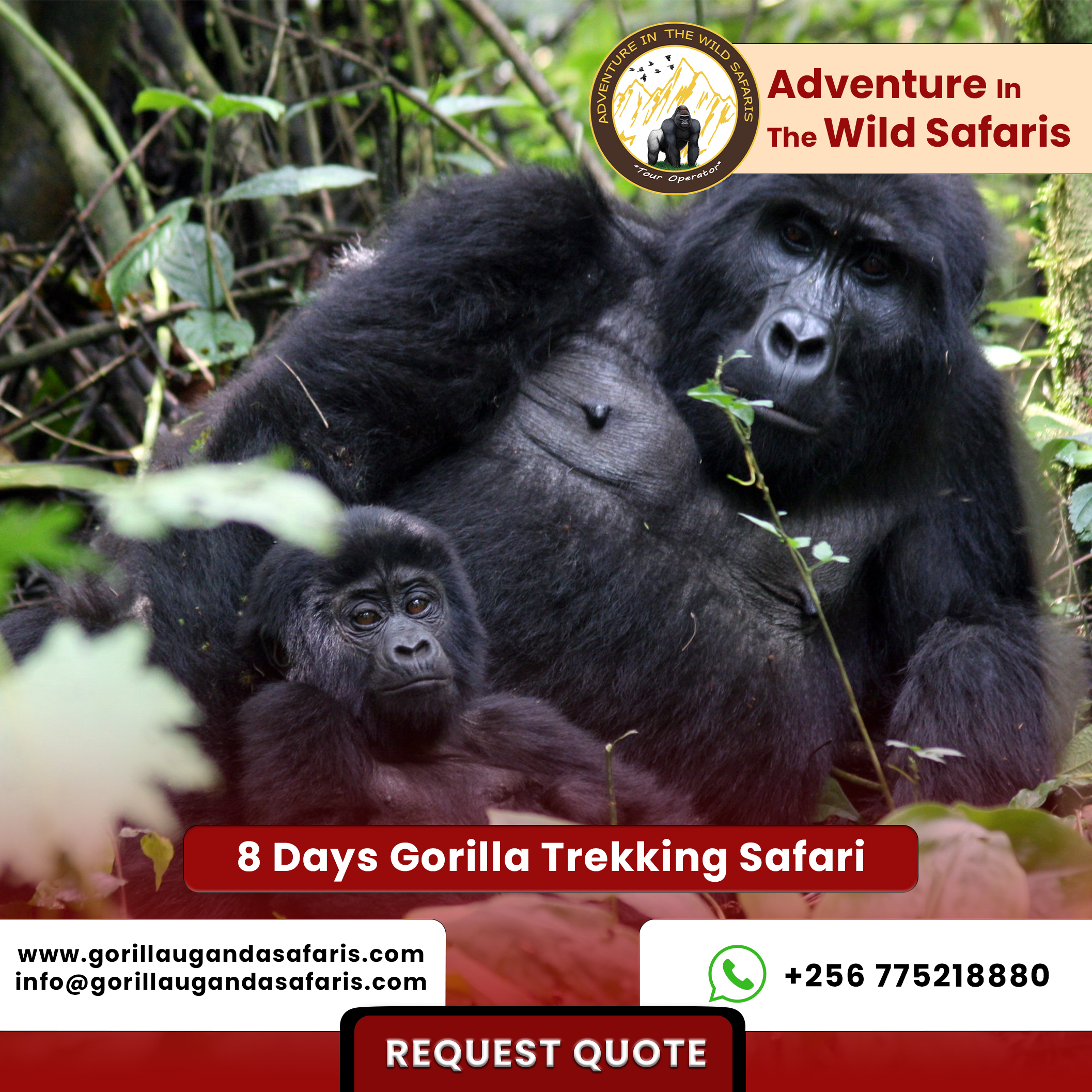 8 Days Gorilla Trekking Safari